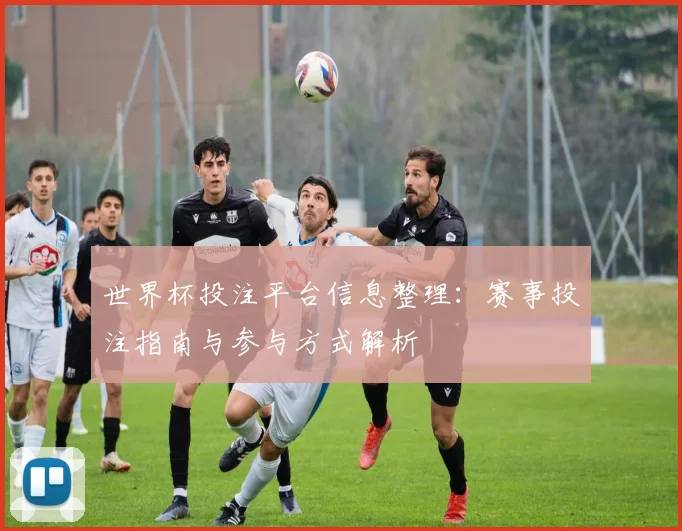 世界杯投注平台信息整理：赛事投注指南与参与方式解析