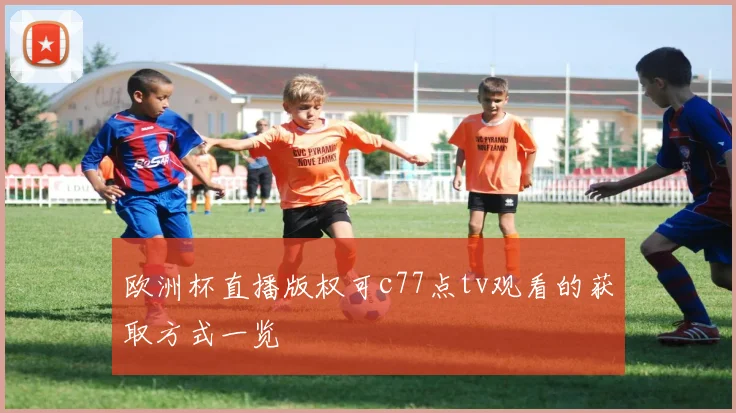 欧洲杯直播版权可c77点tv观看的获取方式一览